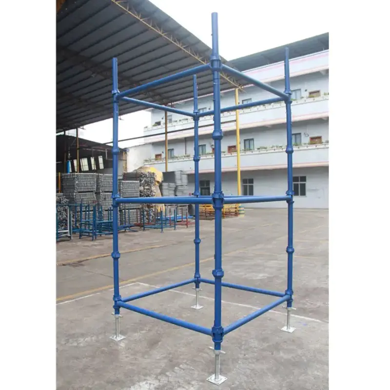 Schele Cuplock